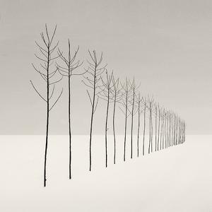 s l e n d e r s by Nilgun Kara