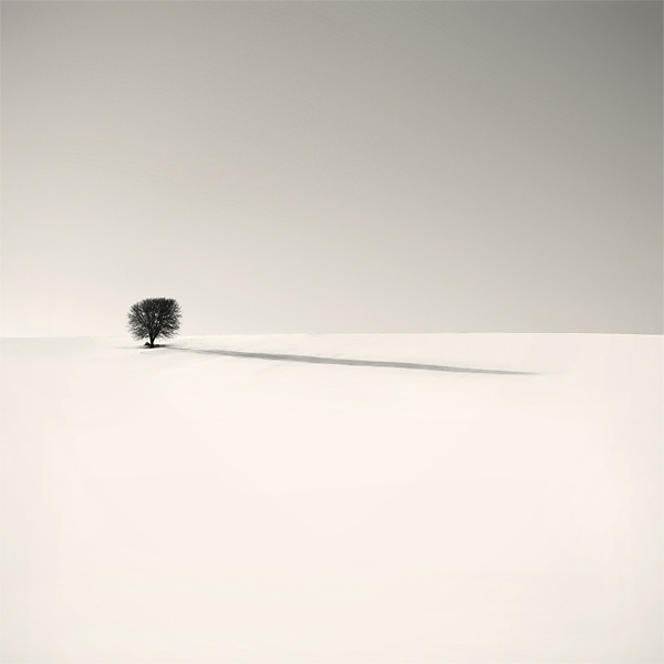 cover me, photography by Nilgun Kara. In Nature, Scenery