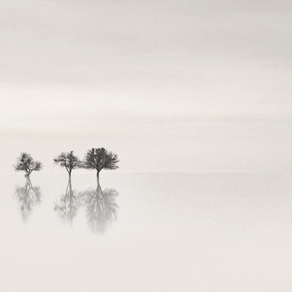 Canon 5D. Dans Nature, Paysage, Aquatique. coolwhite, photographie de Nilgun Kara. Image #89954