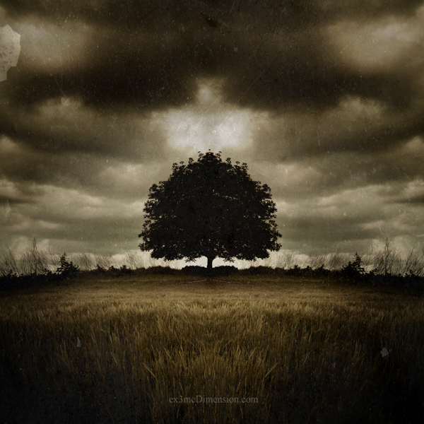 I Found The Reason, photography by Ivana Radisic. canon eos 400 d. photosho cs2