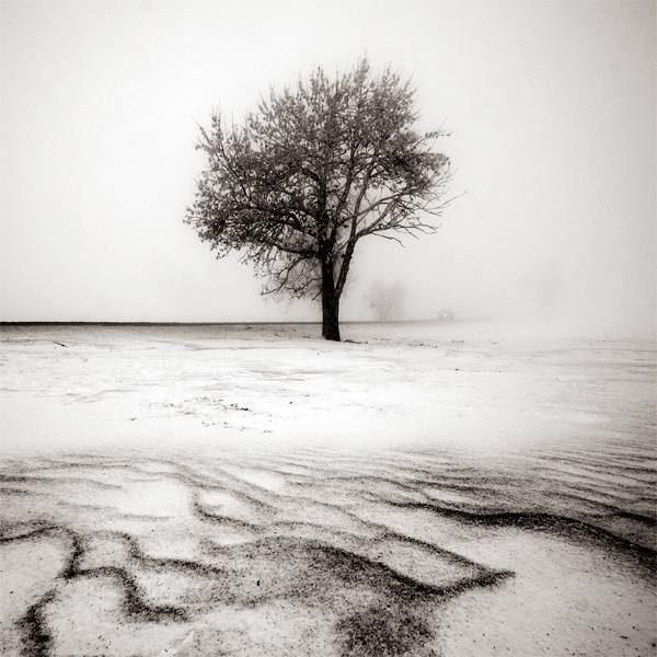 Desolate Winter, photography by Peter Izarik. In Nature, Scenery, Countryside