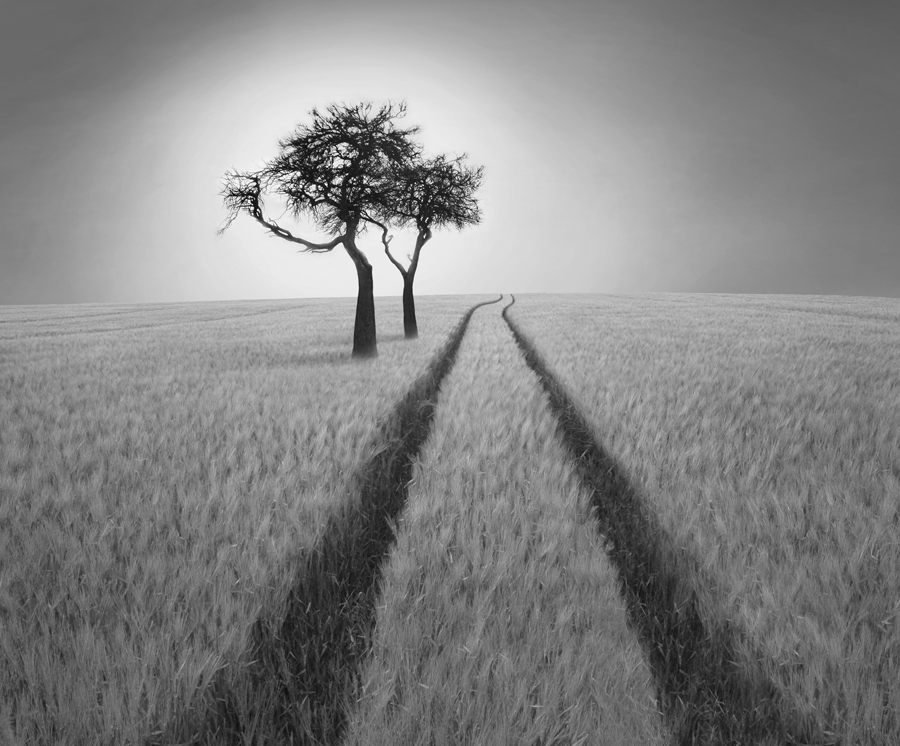 Listen to Wisdom, photography by Ben Heine. Taken in Belgium. nikon d70. In Nature, Scenery, Countryside