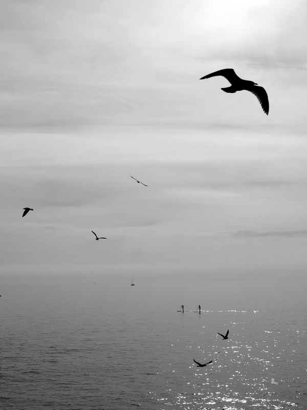 Soaring, photography by Bochkarev Mikhail. There are two people, boat and seagulls soaring on water near Brighton, Great Britain. I tryid to show similar water and sky using polarization filter.. Fotocamera. Pentax K10D, DA 18-55|3,5-5,6. In Nature, Scenery, Waterscape