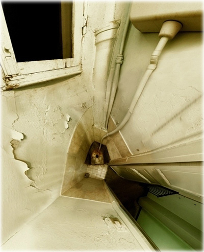 Chiotte!, photography by Julien Quittelier. In Construction, Interior