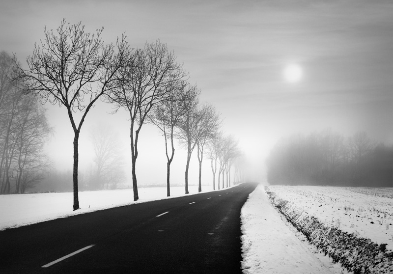 On the road, photography by Sebastien Muller. In Nature, Scenery