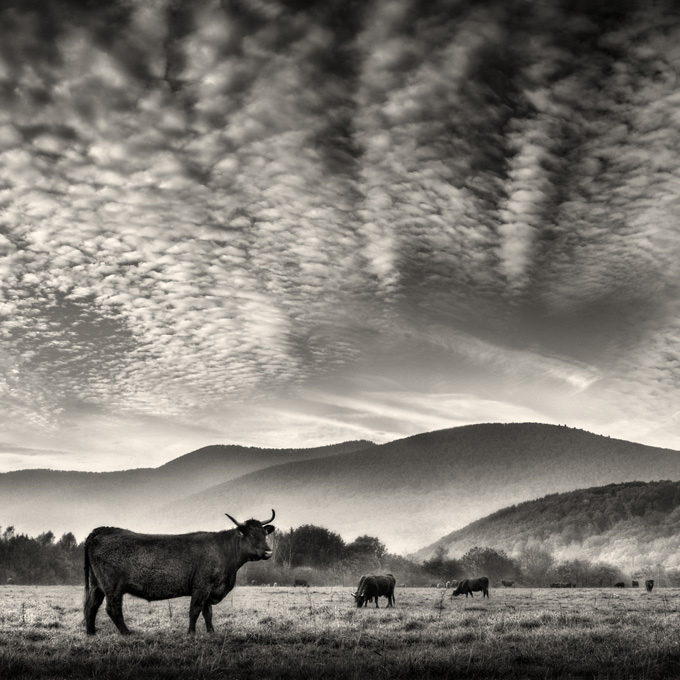 Evening II, photography by Sebastien Muller. In Nature, Scenery