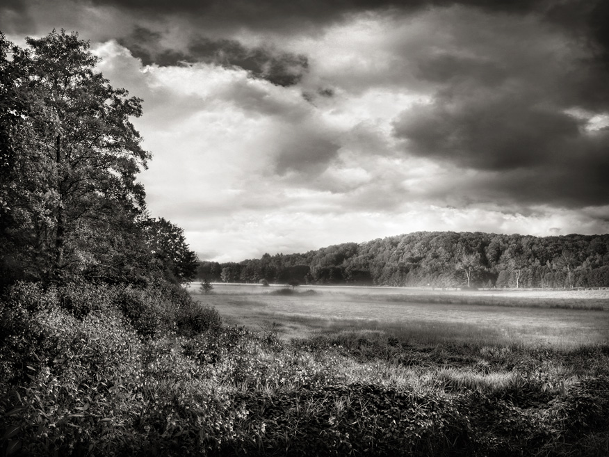 Bucolic morning, photography by Sebastien Muller. In Nature, Scenery