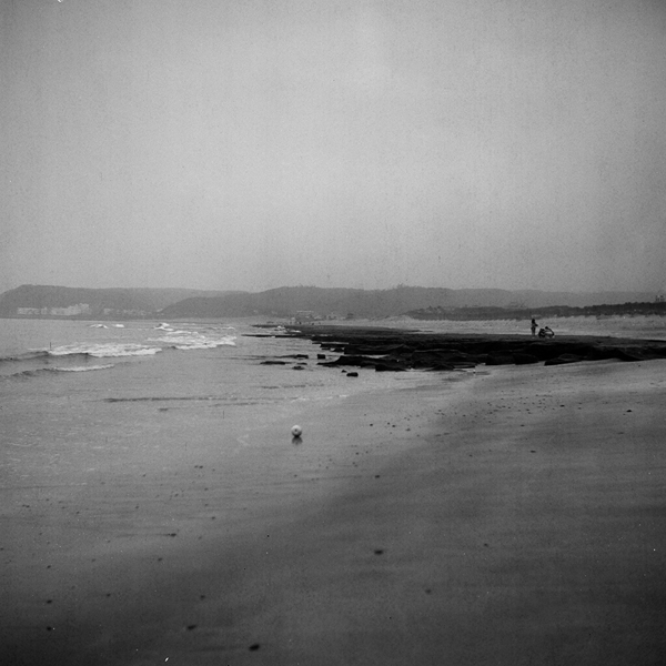 wetland, processing by Chang Shanti. ^^. seagull. b/w. In Nature, Scenery, Waterscape