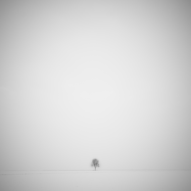 white immensity, photography by Dino Lupani. In Nature, Scenery