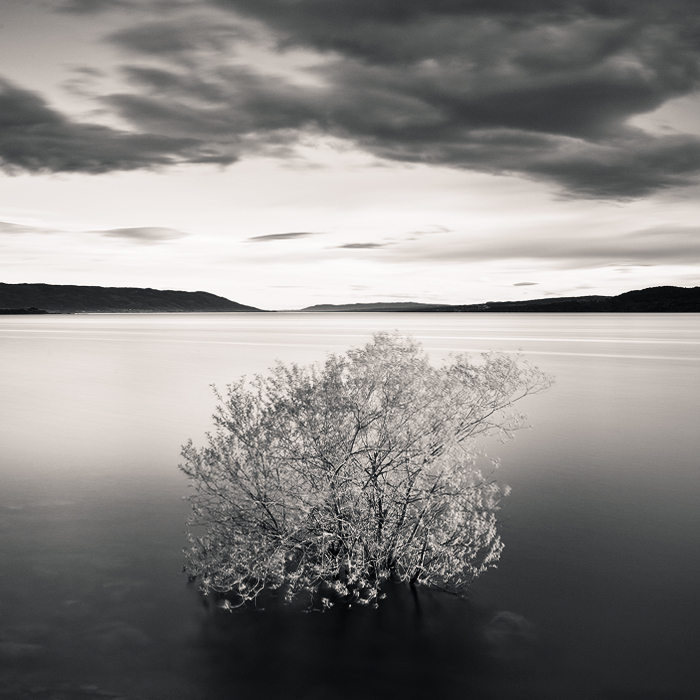 Spring Floods, photography by Anders Naesset. Severe spring flooding by my favorite beach. This lone tree usually sits 3-4 meters from the shore.. Canon EOS 5D, Canon EF 17-40 f/4L USM, Hoya ND400, Cokin Z121S. 110 sec., f/11, ISO100, 27mm. In Nature, Scenery, Waterscape