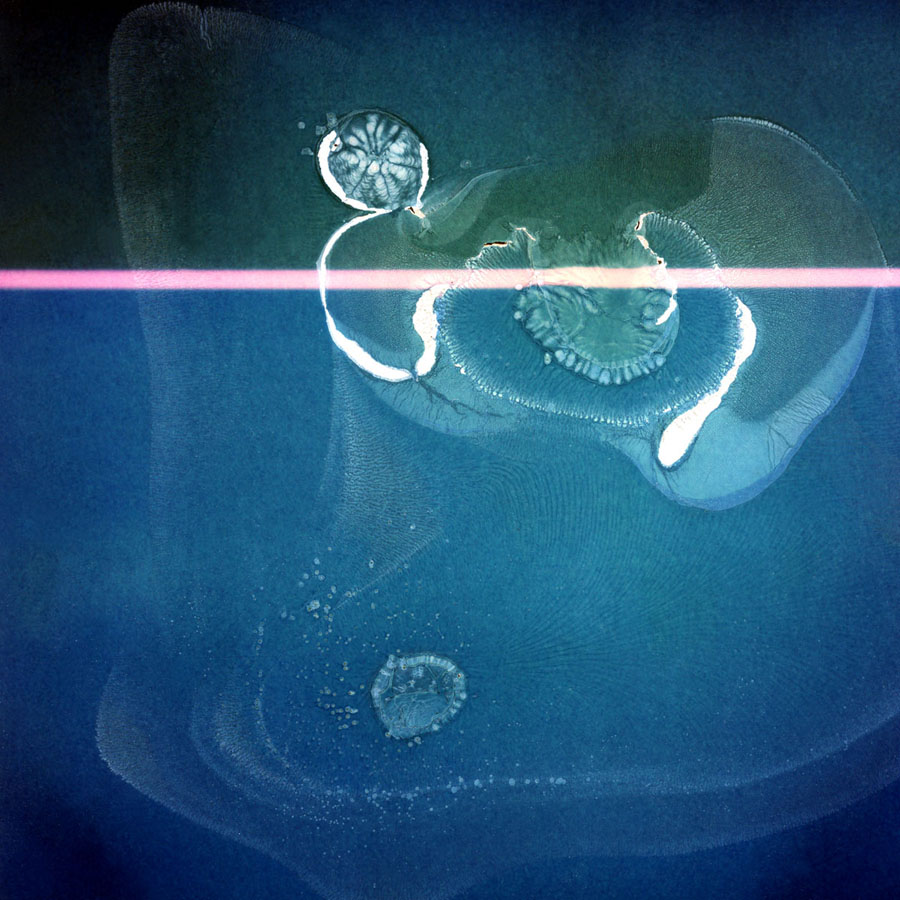 Pink line, photography by Ivan Wentland. sonar autofocus sx-70. heat manipulation, no PS