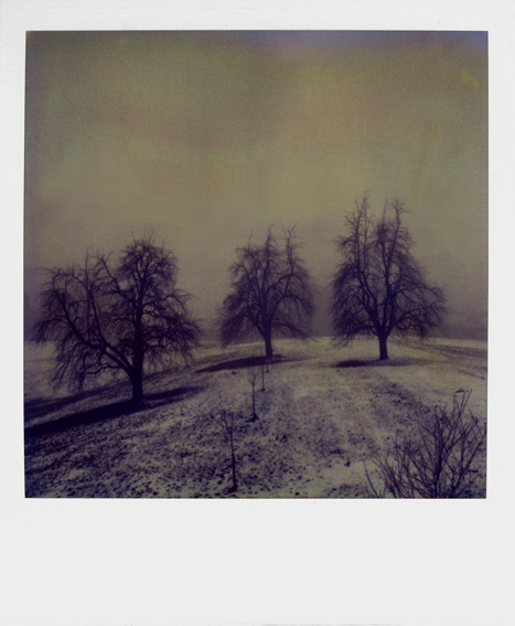 SX-70#36 1988, photography by Reza Khatir. Small Polaroids. SX-70 Polaroid camera. Polaroid SX-70 film. In Nature, Scenery