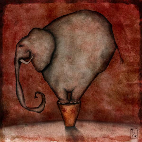 elephant - Gladys B