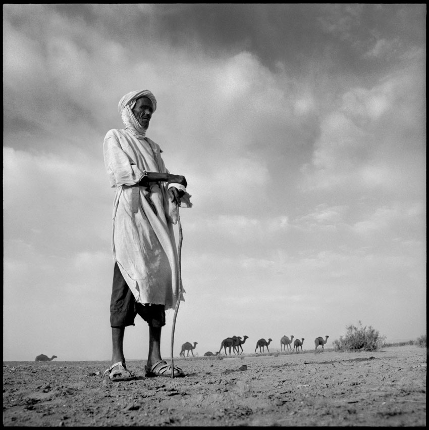 Le chamelier, photography by Philippe Morel. toujours dans le sud marocain, il y a 38 ans.... Pentacon 6. argentique, Ilford FP4, 6x6, n&eacute;gatif scann&eacute;. In People, Portrait