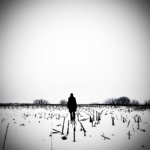 Untitled, photography by Gwen Coyne. In Construction
