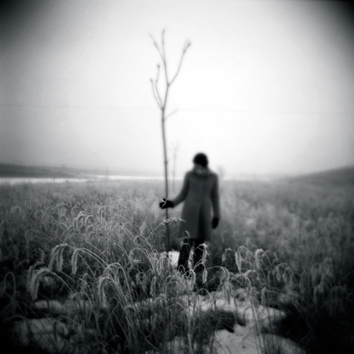 Untitled, photography by Gwen Coyne. Holga. Orton Effect. In People, Everyday, Leisure