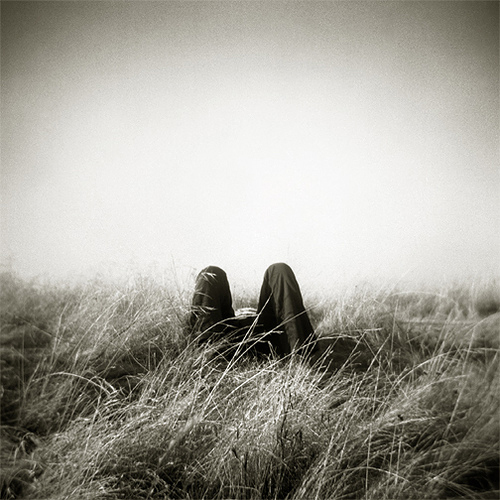 Landscape, photography by Gwen Coyne. Copyright &copy; Gwen Coyne. All rights reserved.. Holga. In Construction