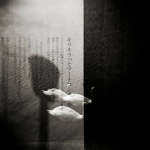 *, photography by Gwen Coyne. Holga. 4 exposures, 1 swan -). In Construction