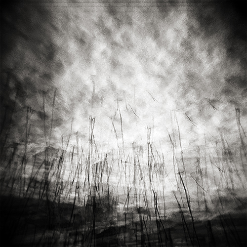 Untitled, photography by Gwen Coyne. Copyright 2008 Gwen Coyne. All rights reserved.. holga. multiple exposures. In Nature, Sky