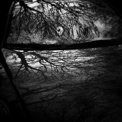 Untitled, photography by Gwen Coyne. Copyright 2005-2008 Gwen Coyne. All rights reserved.. holga. In Construction, Street