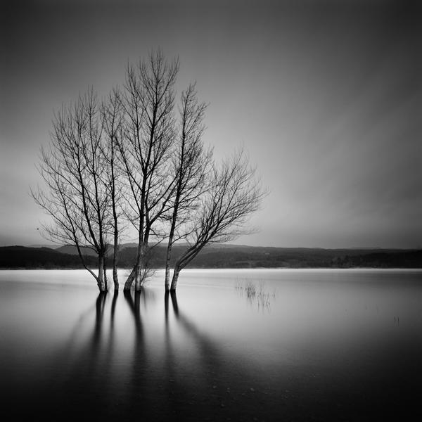 C r a w l i n g, photography by Xavi Fuentes. In Nature, Scenery, Waterscape