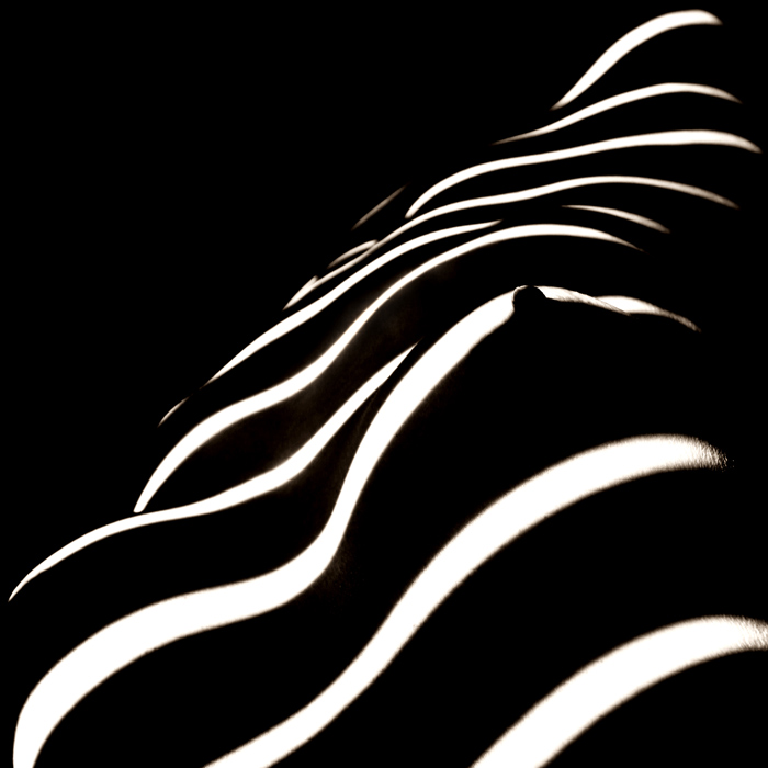 zebra woman, photography by Emese Benko. www.emesebenko.com. In People, Nude
