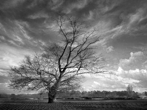 Sans titre, photography by Pascal Fallot. In Nature, Scenery