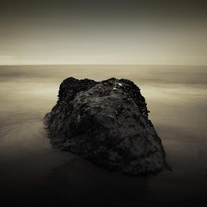 evolution by Joon Lee