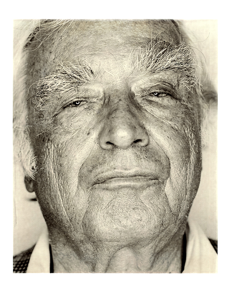 Martin Walser, photography by Werner Pawlok. sinar p 8x10inch studiocamera. polaroid mismatch. In People, Portrait