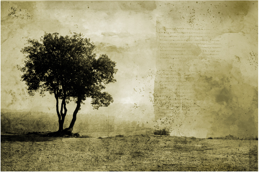 Tree, processing by Xavi Moya. EOS 350D + 12-24. In Nature, Scenery