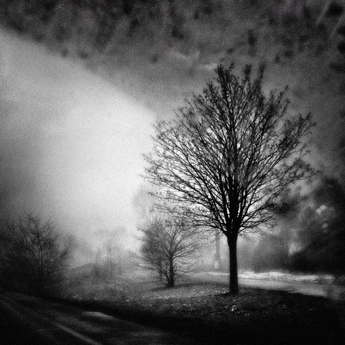 Hivernal ..., photography by Anne-laure Jacquart. Une incroyable ambiance que ce brouillard dispos&eacute; en nappes !. In Nature, Scenery