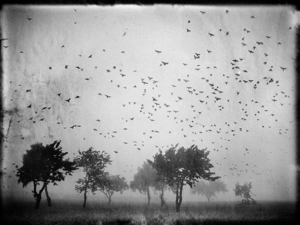XXII, photography by Berenika. www.berenika.vio.pl. In Nature, Weather