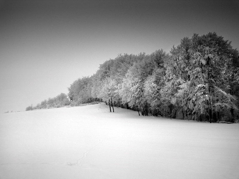 Days | Of | Snow | #33, Artwork by Uwe Bachmann