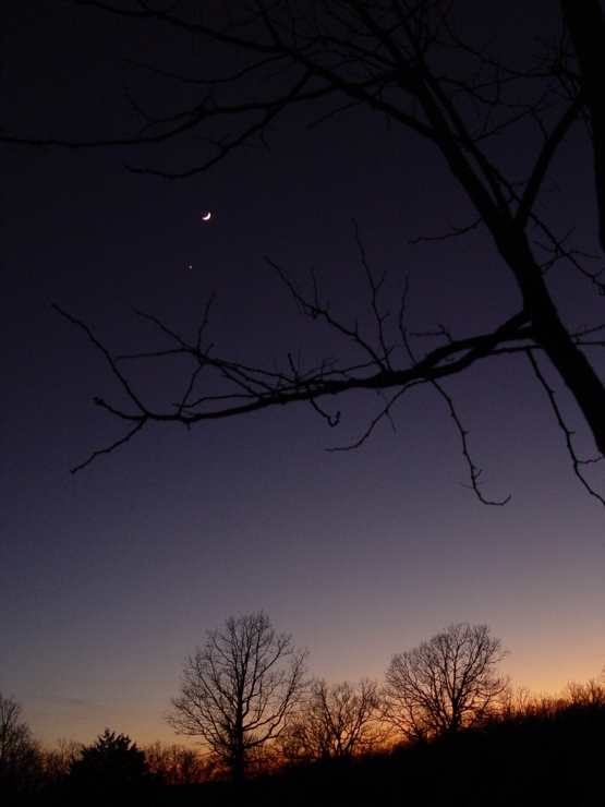 Touching twilight, photography by Alana 'inki' Schmitt. A winter's sunset, the braches just touching the twilight.. sony dcs f417. In Nature, Astronomy
