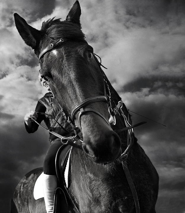 easy rider, Artwork by Vaggelis Fragiadakis