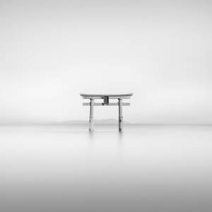 Japan #6 - Shirahige Shrine Torii, Study II by Stefano Orazzini