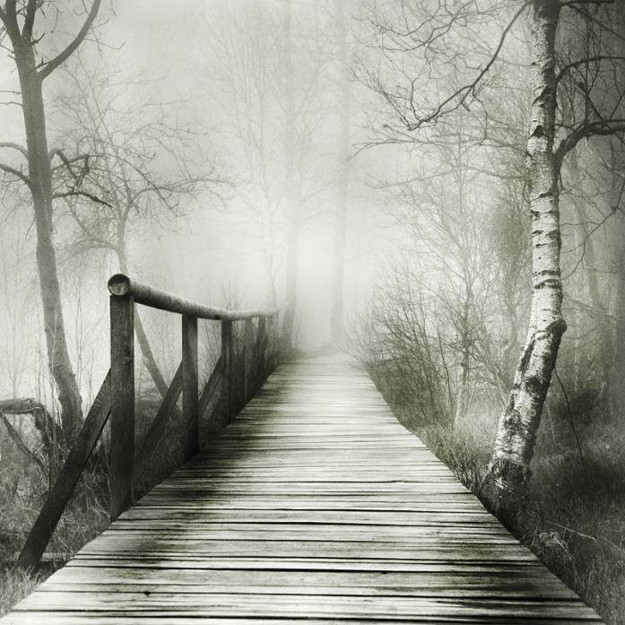 In The Highmoor I, photography by Carmen Spitznagel