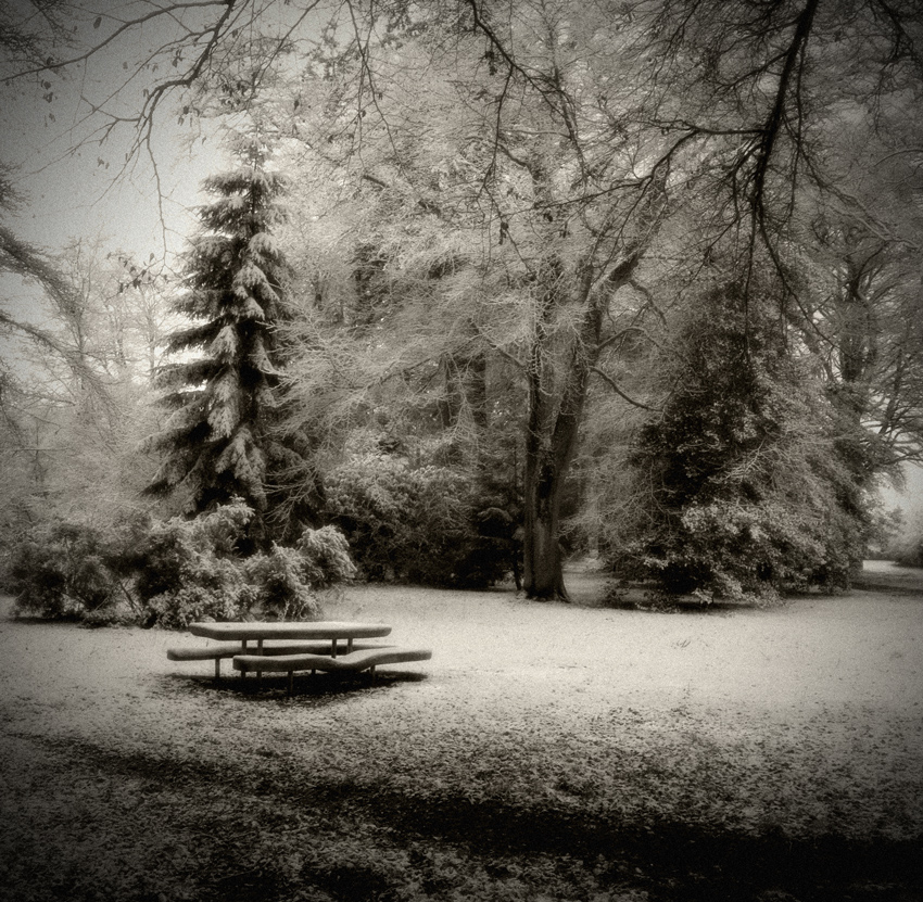Cold Park, photography by Paul Campbell. Ness Islands, Inverness, Scotland.. sony a100, km17-35 f2.8. duo toned and softened in cs2. In People, Everyday, Countryside