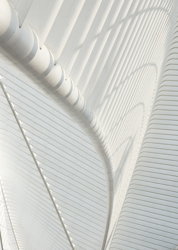 A so nice roof, photography by Fernand Hick. D300. In Construction