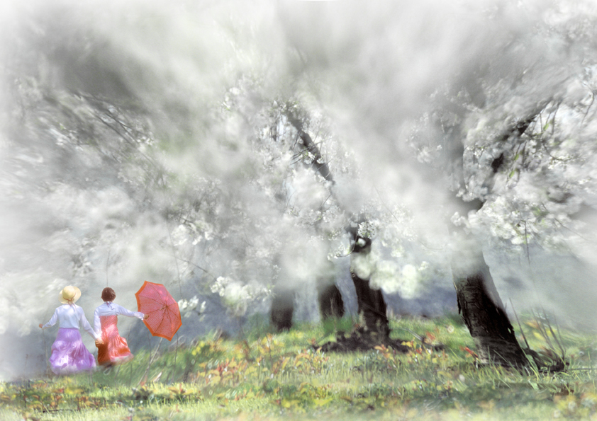 Spring Joyce, Artwork by Fernand Hick. 500mm mirror lens. In Nature, Scenery