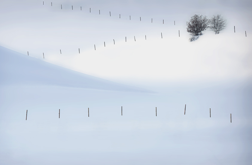 Cold Solitude, Artwork by Fernand Hick. D700