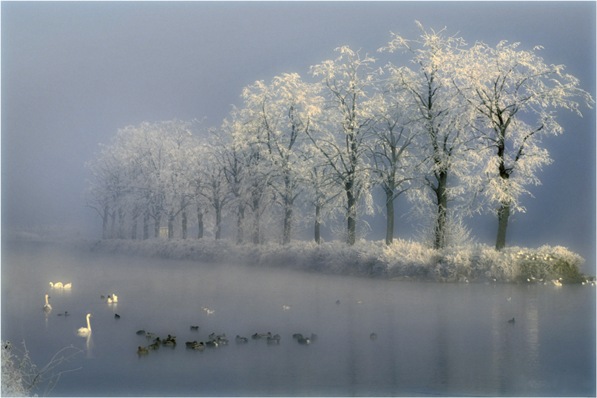 V 115 Along the Meuse, photography by Fernand Hick. In Nature, Scenery, Waterscape