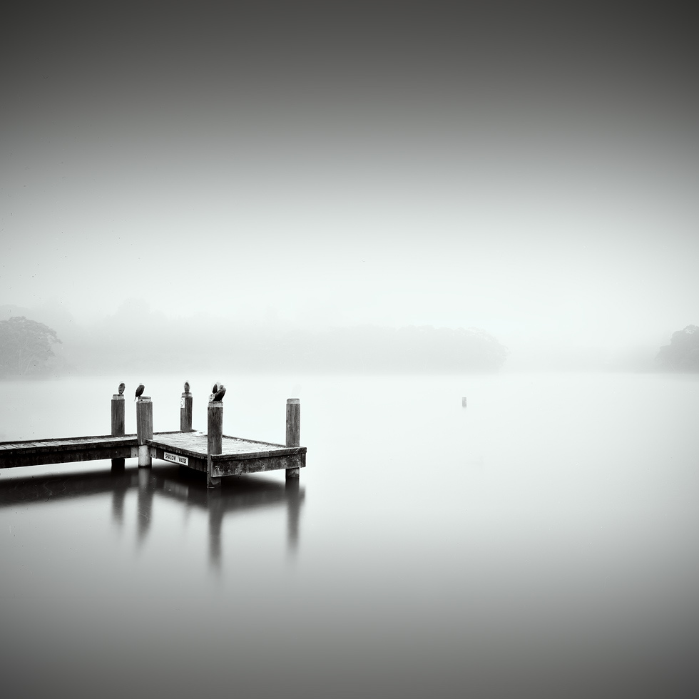 8x10 Delta Pro in DD-X. In Construction, Edifice, Pier, pontoon. Untitled, photography by Mike Stacey. Image #386140