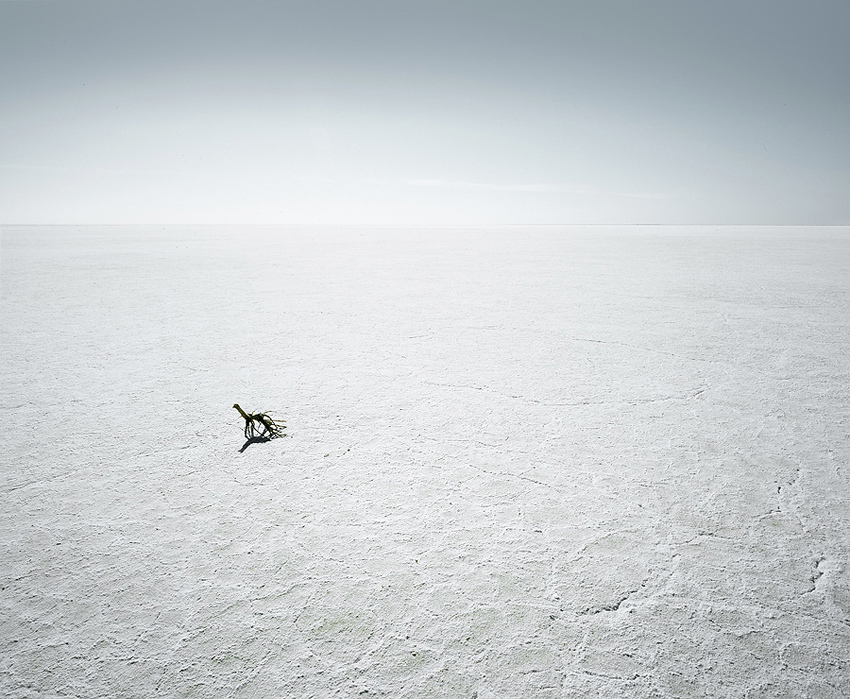 Artesian Songlines #1, photography by Mike Stacey. Mamiya 7 Mk 11, Astia. In Nature, Scenery