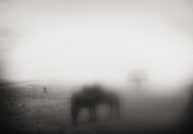 Untitled, photography by Andrei Baciu. In Nature, Animal