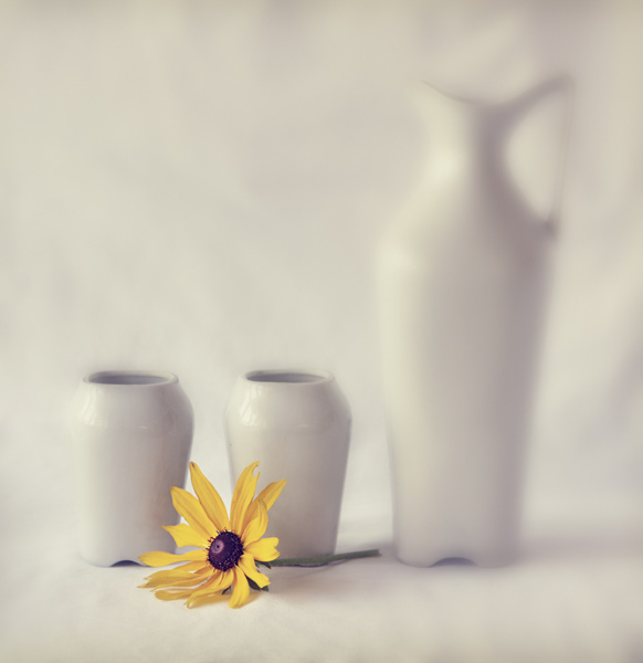 Still Life 8606, photography by Andrei Baciu. In Object, Still life