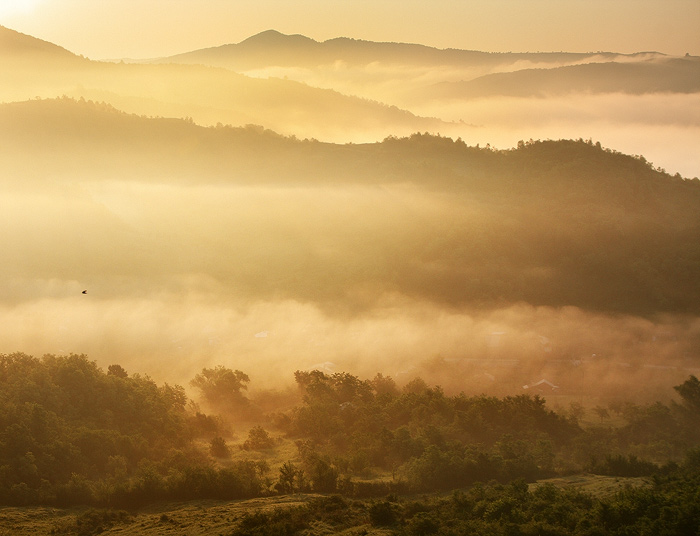 In Nature, Scenery, Countryside. June, 25Th, 6:26 Am, photography by Andrei Baciu. Image #394770
