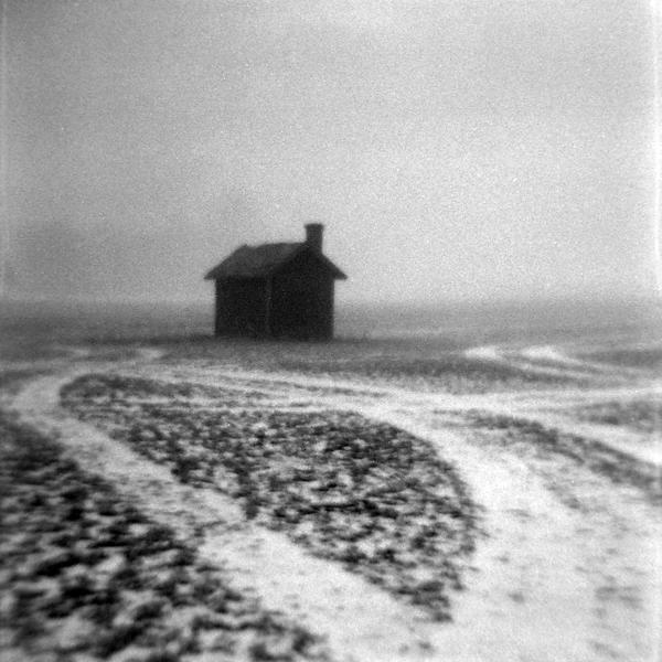 The House