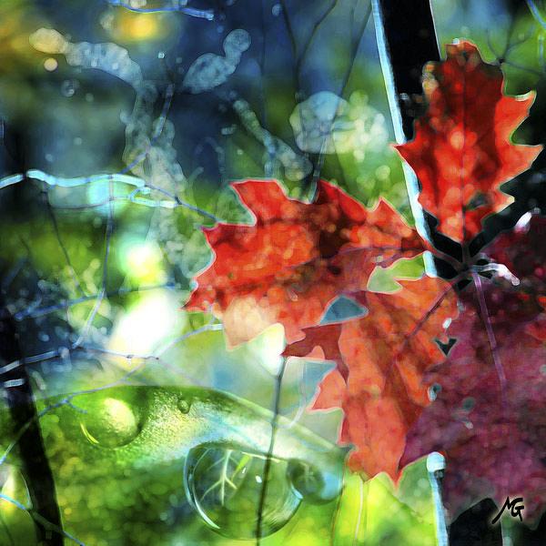 Les trois gouttes, processing by Magel Design - Magel'art. In Nature, Vegetal