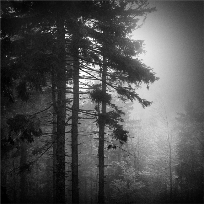 Le bout du chemin, photography by Emmanuel Miclo. In Nature, Scenery